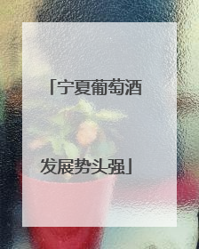 宁夏葡萄酒发展势头强