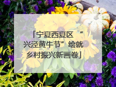 宁夏西夏区 “兴泾黄牛节”绘就乡村振兴新画卷