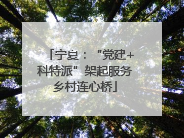 宁夏：“党建+科特派”架起服务乡村连心桥
