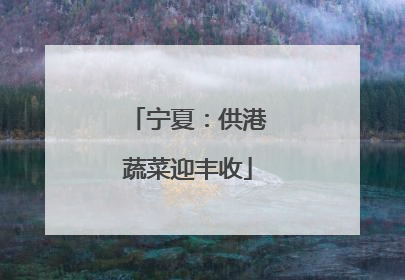 宁夏：供港蔬菜迎丰收
