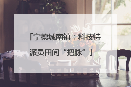 宁德城南镇：科技特派员田间“把脉”