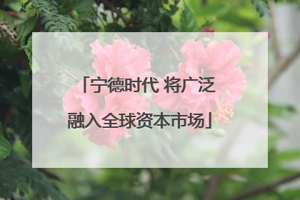宁德时代 将广泛融入全球资本市场
