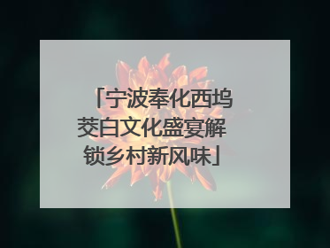 宁波奉化西坞茭白文化盛宴解锁乡村新风味