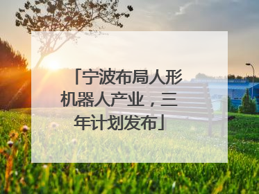 宁波布局人形机器人产业，三年计划发布