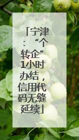 宁津：“个转企”1小时办结，信用代码无缝延续