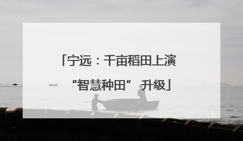 宁远：千亩稻田上演 “智慧种田” 升级