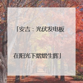 安吉：光伏发电板在阳光下熠熠生辉