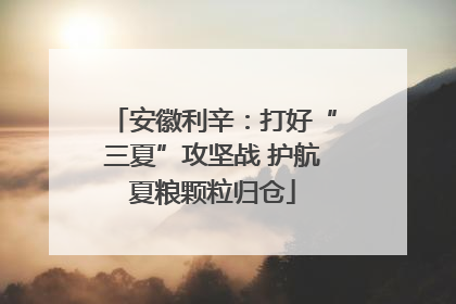 安徽利辛：打好“三夏”攻坚战 护航夏粮颗粒归仓