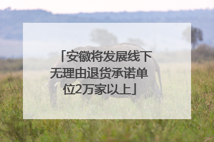 安徽将发展线下无理由退货承诺单位2万家以上