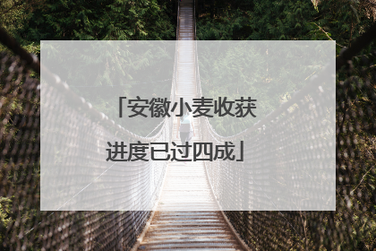 安徽小麦收获进度已过四成