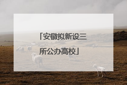 安徽拟新设三所公办高校