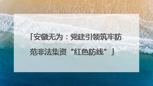 安徽无为：党建引领筑牢防范非法集资“红色防线”