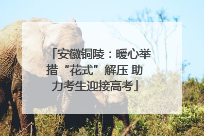 安徽铜陵：暖心举措“花式”解压 助力考生迎接高考