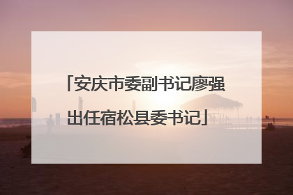 安庆市委副书记廖强出任宿松县委书记
