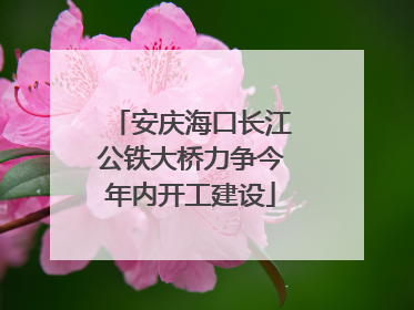 安庆海口长江公铁大桥力争今年内开工建设
