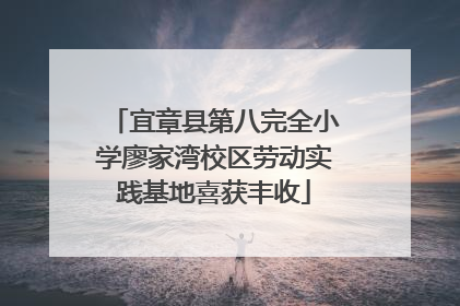 宜章县第八完全小学廖家湾校区劳动实践基地喜获丰收