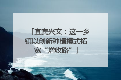 宜宾兴文：这一乡镇以创新种植模式拓宽“增收路”