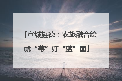 宣城旌德：农旅融合绘就“莓”好“蓝”图