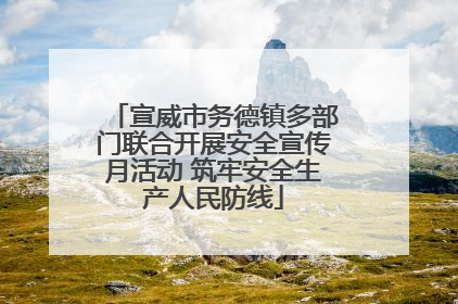 宣威市务德镇多部门联合开展安全宣传月活动 筑牢安全生产人民防线