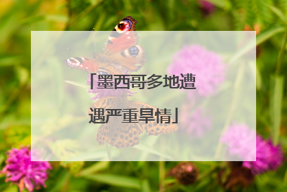 墨西哥多地遭遇严重旱情
