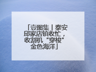 壹图集丨泰安邱家店镇收忙，收割机“穿梭”金色海洋