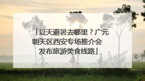夏天避暑去哪里？广元朝天区西安专场推介会 发布旅游美食线路