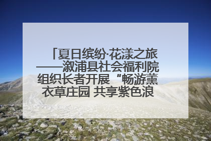 夏日缤纷·花漾之旅——溆浦县社会福利院组织长者开展“畅游薰衣草庄园 共享紫色浪漫”户外活动