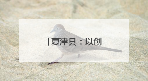 夏津县：以创新实践书写乡村善治新答卷