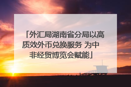 外汇局湖南省分局以高质效外币兑换服务 为中非经贸博览会赋能