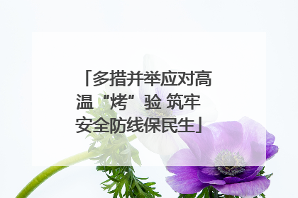 多措并举应对高温“烤”验 筑牢安全防线保民生