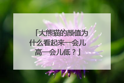大熊猫的颜值为什么看起来一会儿高一会儿低？