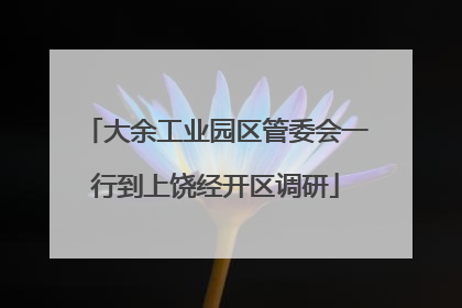 大余工业园区管委会一行到上饶经开区调研