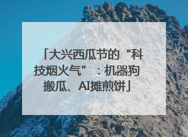 大兴西瓜节的“科技烟火气”：机器狗搬瓜、AI摊煎饼