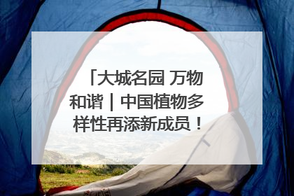 大城名园 万物和谐｜中国植物多样性再添新成员！它只在西藏墨脱