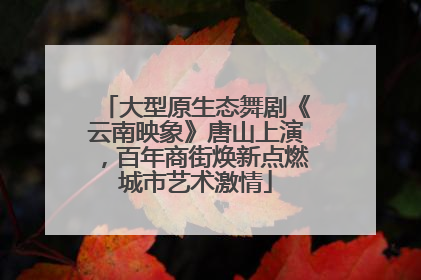 大型原生态舞剧《云南映象》唐山上演，百年商街焕新点燃城市艺术激情