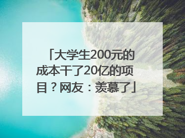大学生200元的成本干了20亿的项目？网友：羡慕了