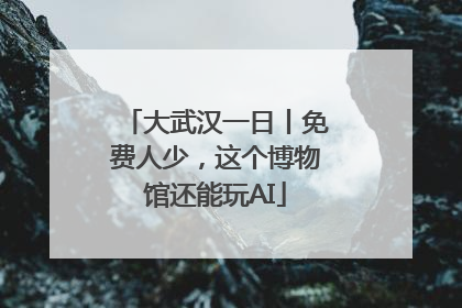 大武汉一日丨免费人少，这个博物馆还能玩AI