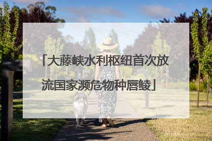 大藤峡水利枢纽首次放流国家濒危物种唇鲮