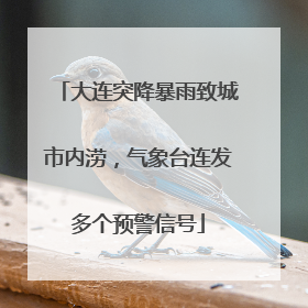 大连突降暴雨致城市内涝，气象台连发多个预警信号