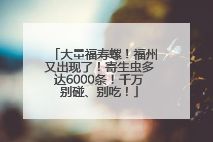 大量福寿螺！福州又出现了！寄生虫多达6000条！千万别碰、别吃！