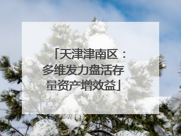 天津津南区：多维发力盘活存量资产增效益