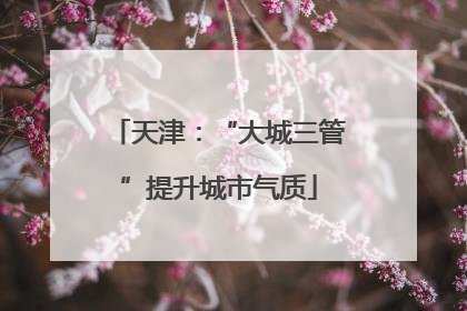 天津：“大城三管”提升城市气质