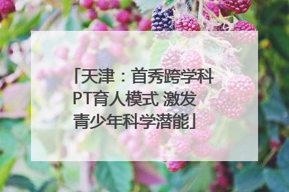 天津：首秀跨学科PT育人模式 激发青少年科学潜能