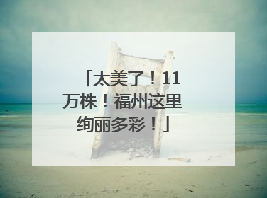 太美了！11万株！福州这里绚丽多彩！