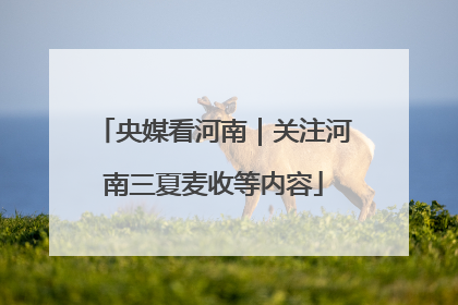央媒看河南｜关注河南三夏麦收等内容
