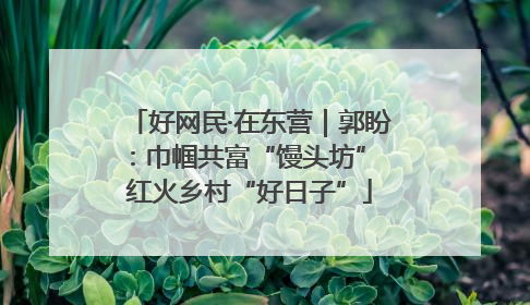 好网民·在东营｜郭盼：巾帼共富“馒头坊” 红火乡村“好日子”