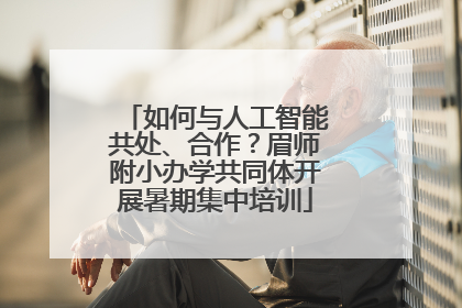 如何与人工智能共处、合作？眉师附小办学共同体开展暑期集中培训