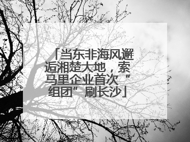 当东非海风邂逅湘楚大地，索马里企业首次“组团”刷长沙