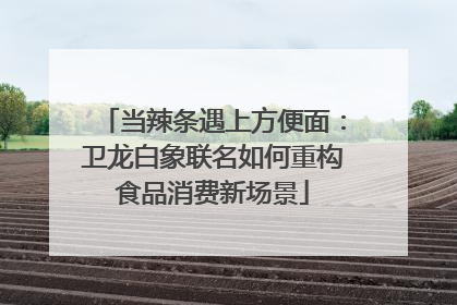 当辣条遇上方便面：卫龙白象联名如何重构食品消费新场景
