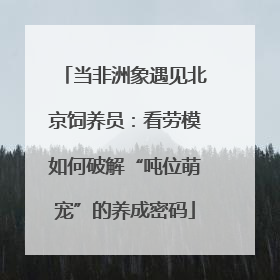 当非洲象遇见北京饲养员：看劳模如何破解“吨位萌宠”的养成密码